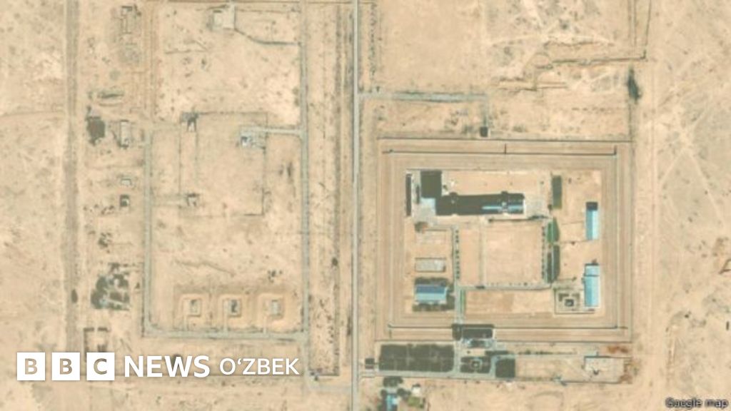 Transseksual Sankt-Peterburg sharhlari