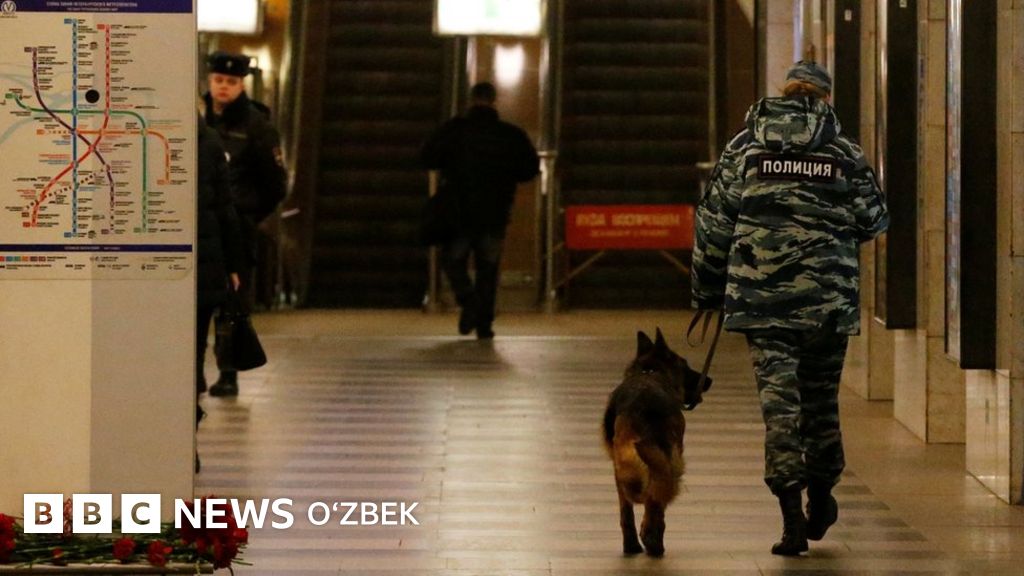 Trans lanet porno onlayn