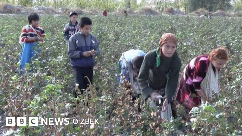 Men yigit bilan jinsiy aloqa qilish uchun pul tolashga tayyorman.