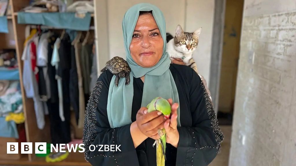 It uslubidagi busty ayol porno video