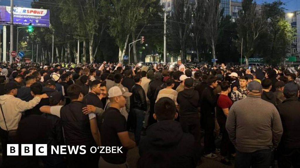 Jinsiy nomlar Mushuk va mushukni yalab, yaqindan video