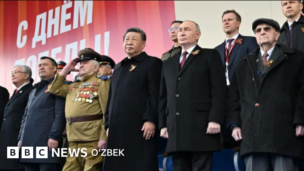 Porno katta mushuk yaqin planda