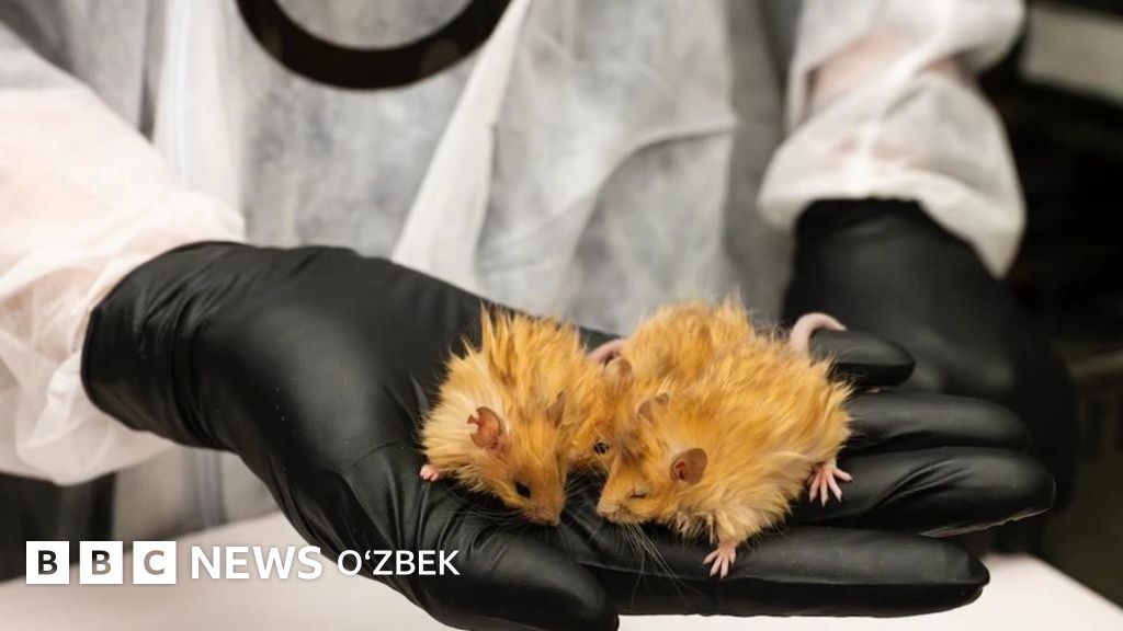 Rus ayol bilan kirish joyida jinsiy aloqa Porno togridan-togri yigitlar gey yigitlar lanet