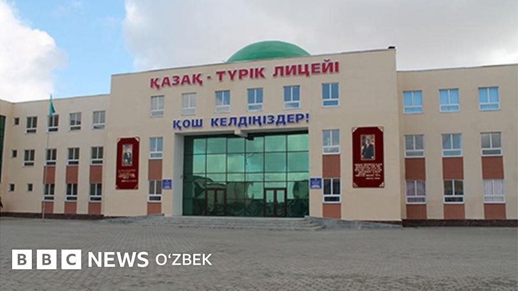 Tukli semiz eshaklarning fotosuratlari