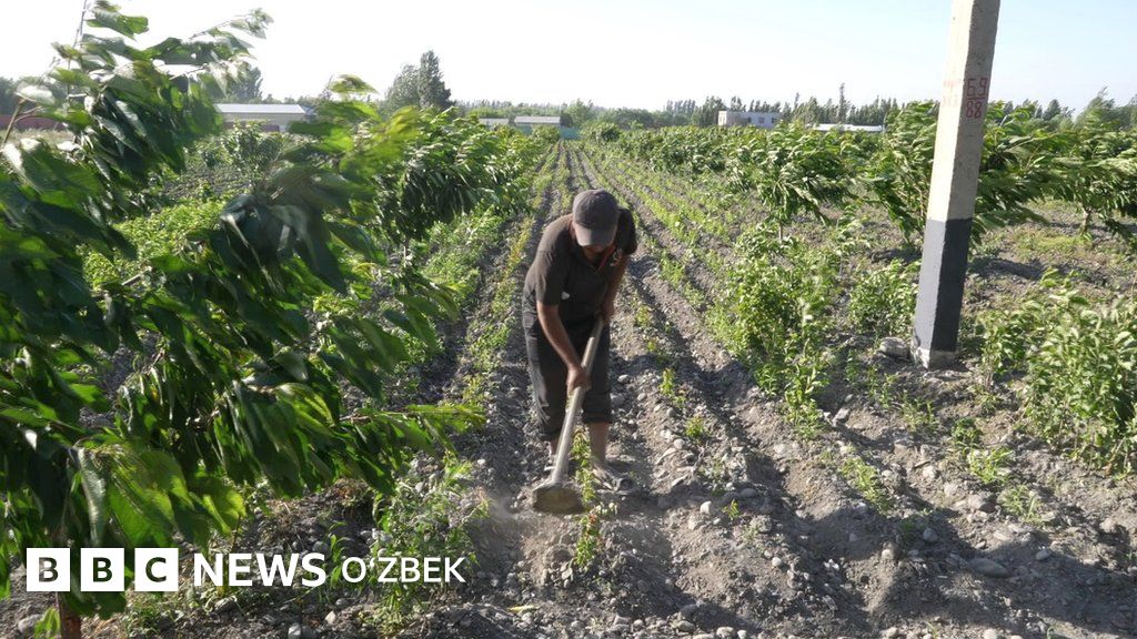 Rus tilida porno xojayin va kotib