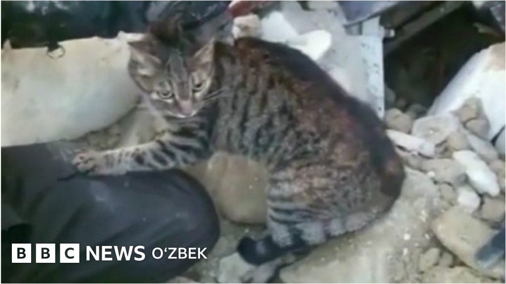 Judas Cradle BDSM porno Fiona jinsiy aloqa Sarguzasht vaqti qoidasi