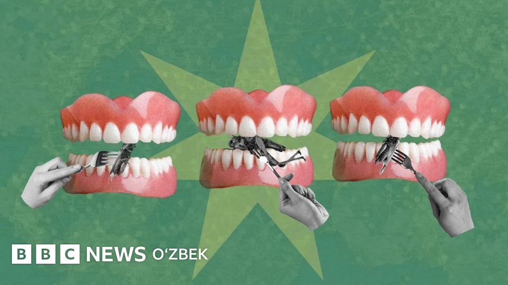 Студенттік лесбиянка порно HD