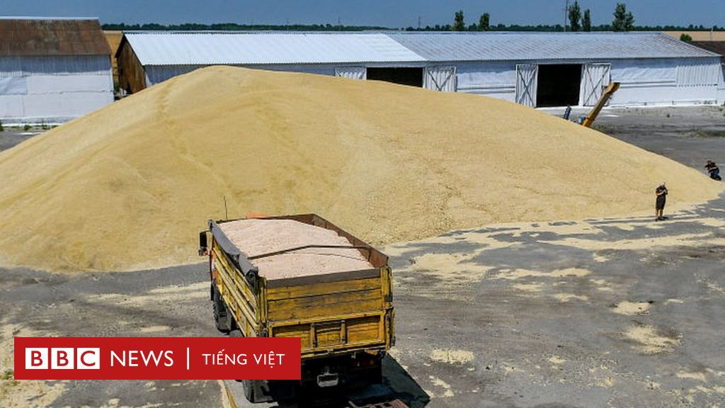 Nga đang xuất khẩu ngũ cốc đánh cắp từ Ukraine? - BBC News Tiếng Việt