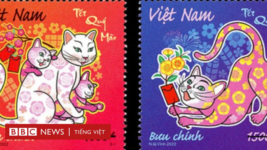 Tết Quý Mão: Thử tìm hiểu lý do người Việt bỏ Thỏ chọn Mèo làm con ...