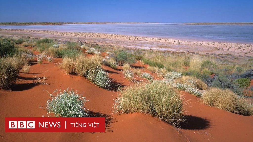 Những người nắm giữ bí mật sa mạc nước Úc - BBC