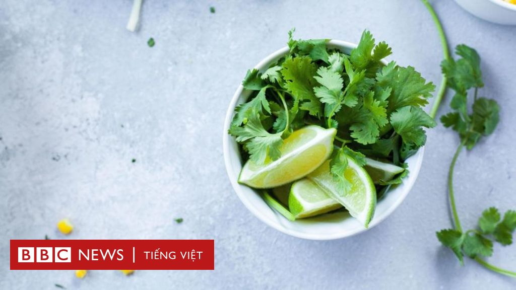 50 loại thực phẩm bổ nhất cho sức khỏe - BBC News Tiếng Việt
