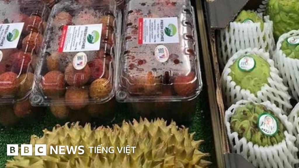 Xuất khẩu sang Anh và bài học cho doanh nghiệp vừa ... - BBC