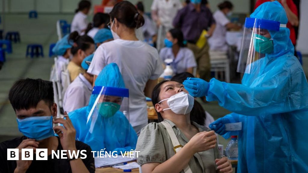 Covid Bộ xét nghiệm Việt Á từ góc nhìn an nguy của thể chế BBC News