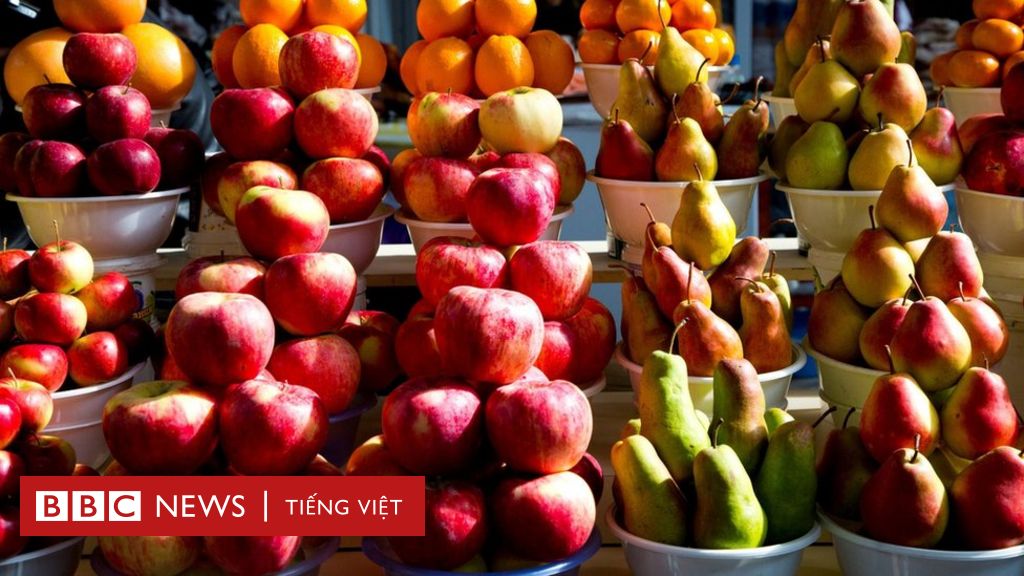 Táo ta, một loại trái cây quen thuộc trong ẩm thực Việt Nam. Bức ảnh này sẽ giới thiệu cho bạn những hình ảnh tuyệt đẹp về Táo ta, từ hình dáng đến màu sắc rực rỡ của nó. Hãy cùng nhau khám phá sự đa dạng và phong phú của trái cây này nhé.
