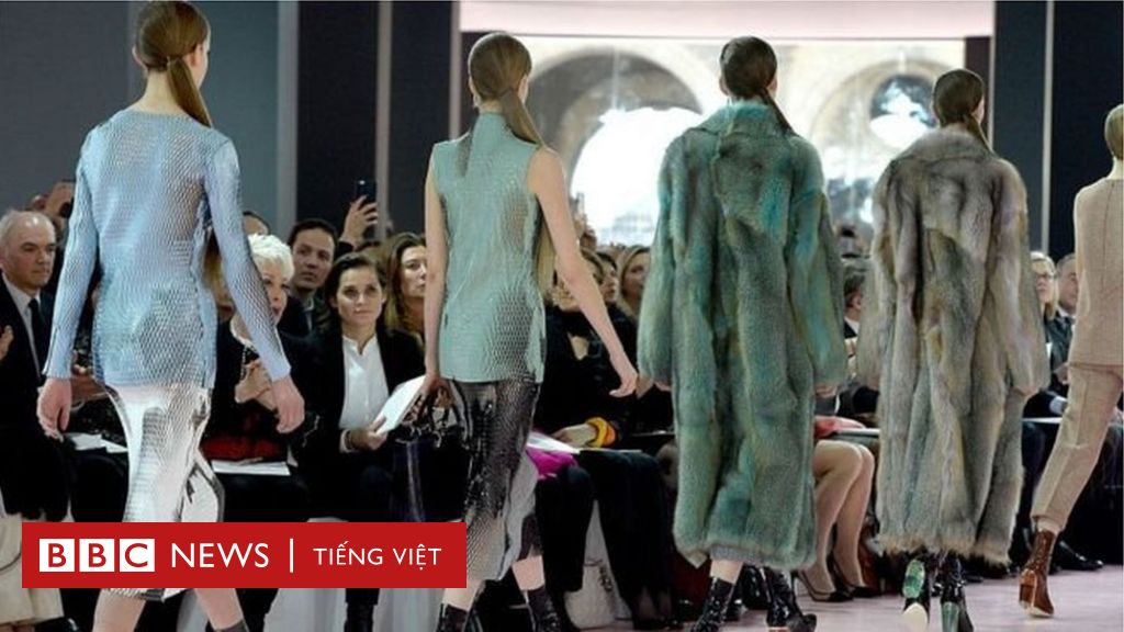 Christian Dior và Gucci thôi dùng người mẫu siêu gầy - BBC News ...