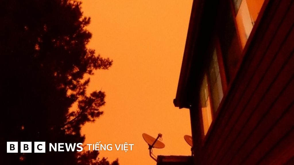California Bầu Trời Vang Tren Miền đất Vang Bbc News Tiếng Việt