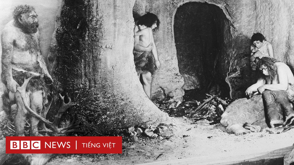 Những người Neanderthal cuối cùng trước ngày tuyệt chủng - BBC News Tiếng  Việt