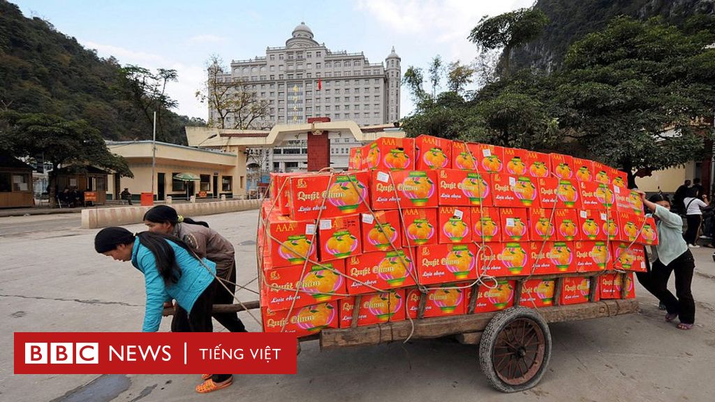 Lối thoát nào để nông sản Việt Nam hết gian nan? - BBC ...