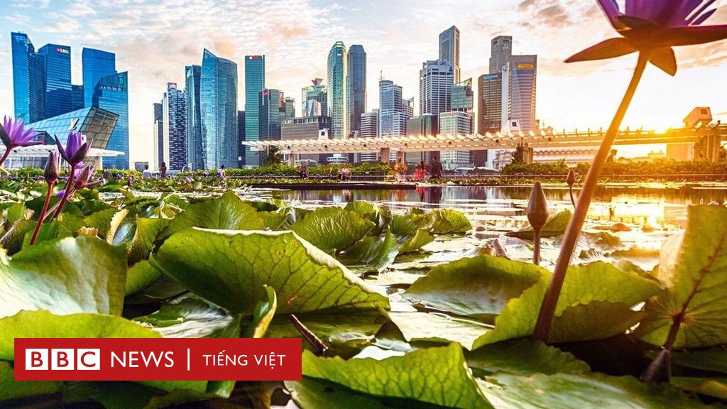Singapore: Thành phố đa sắc màu và hiện đại này đang là điểm đến yêu thích của nhiều du khách. Quý khách sẽ ngỡ ngàng trước vẻ đẹp kiến trúc độc đáo, văn hóa phong phú và ẩm thực độc đáo của Singapore. Hãy xem hình ảnh để khám phá thêm về thành phố này.