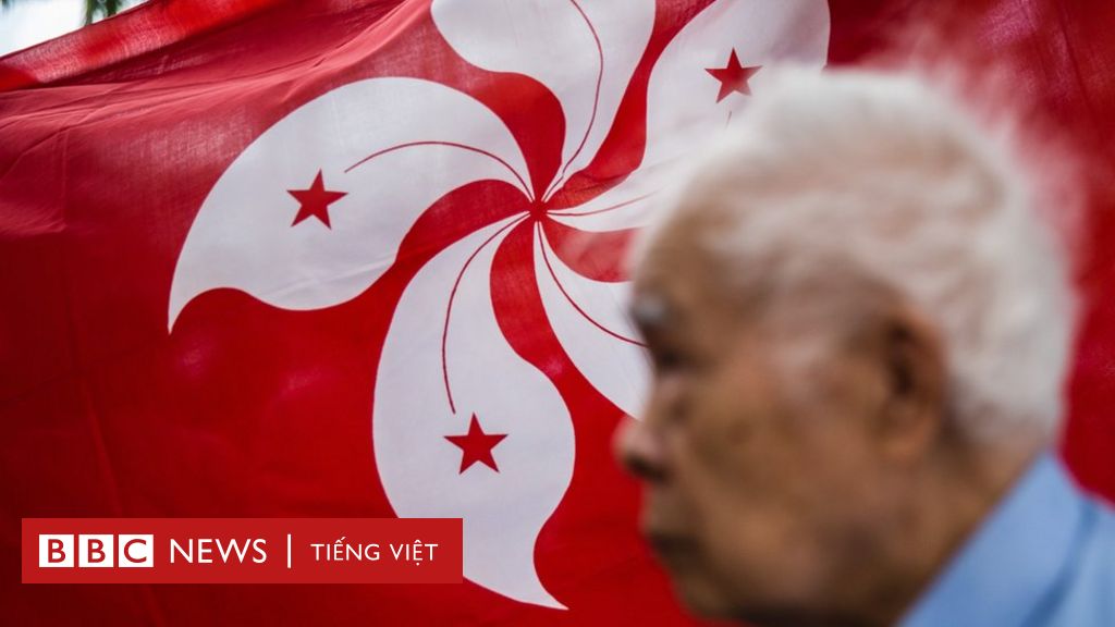 Bông hoa lạ trên lá cờ Hong Kong - BBC News Tiếng Việt