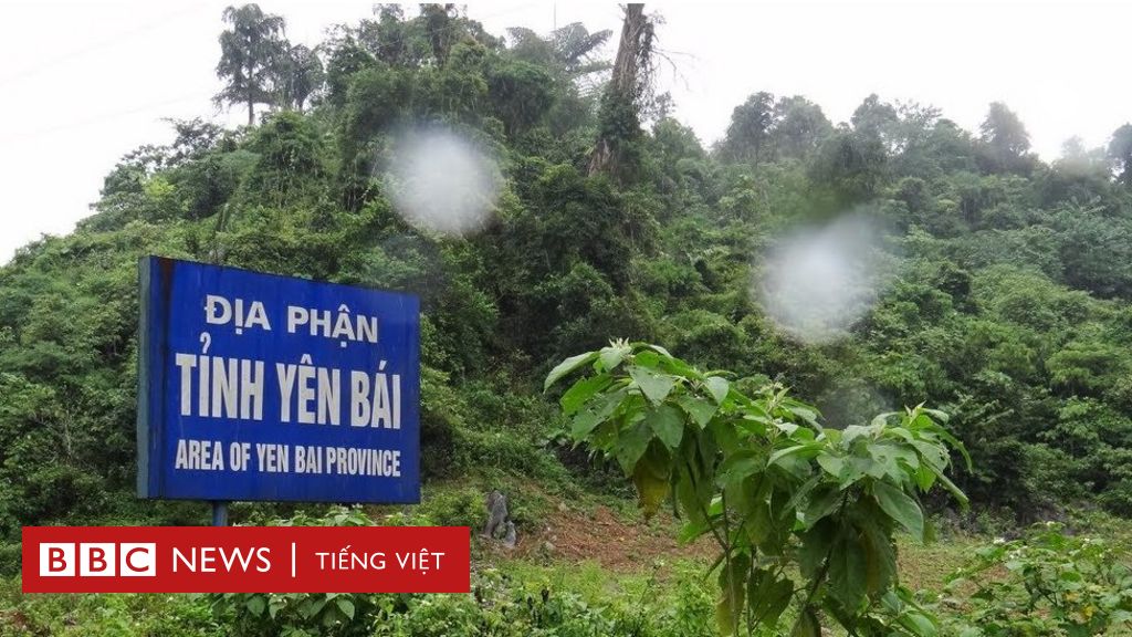 www.bbc.com