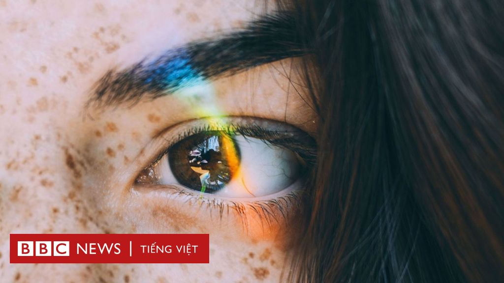 Bệnh tự ảo tưởng về kiến thức của bản thân - BBC News Tiếng Việt