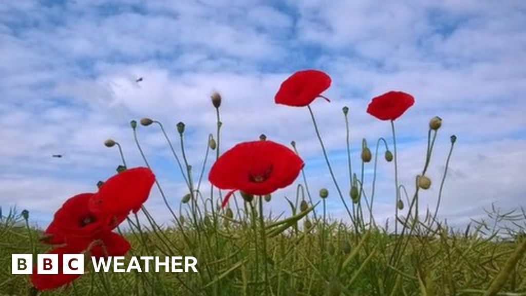 Capturing the Ebb&Flow BBC Weather