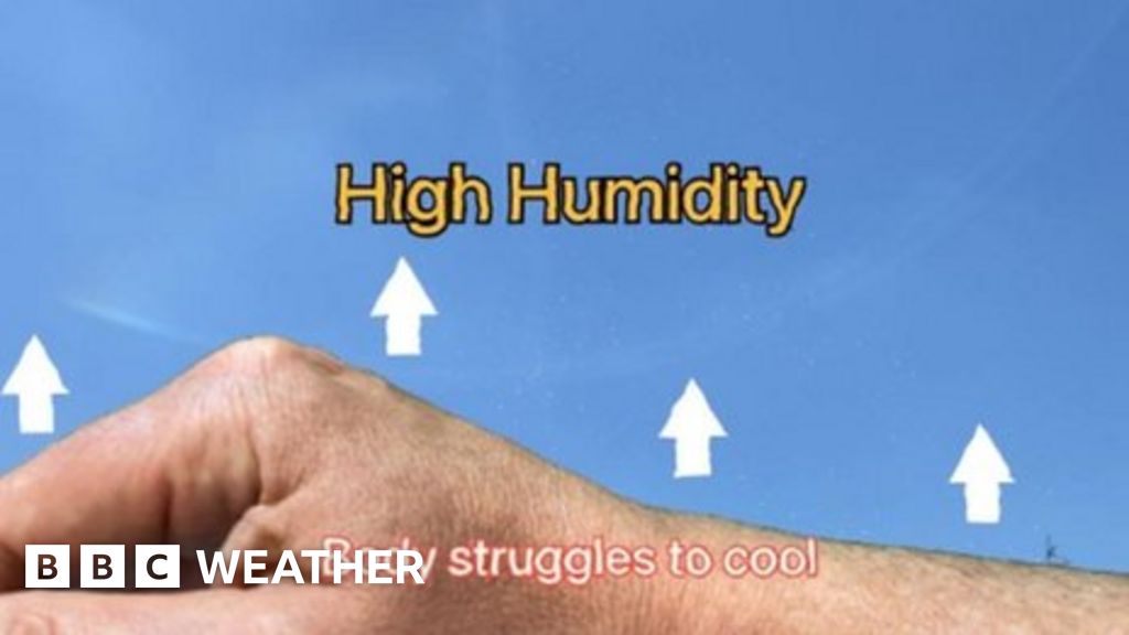 Why do we feel so much hotter on humid days? BBC Weather