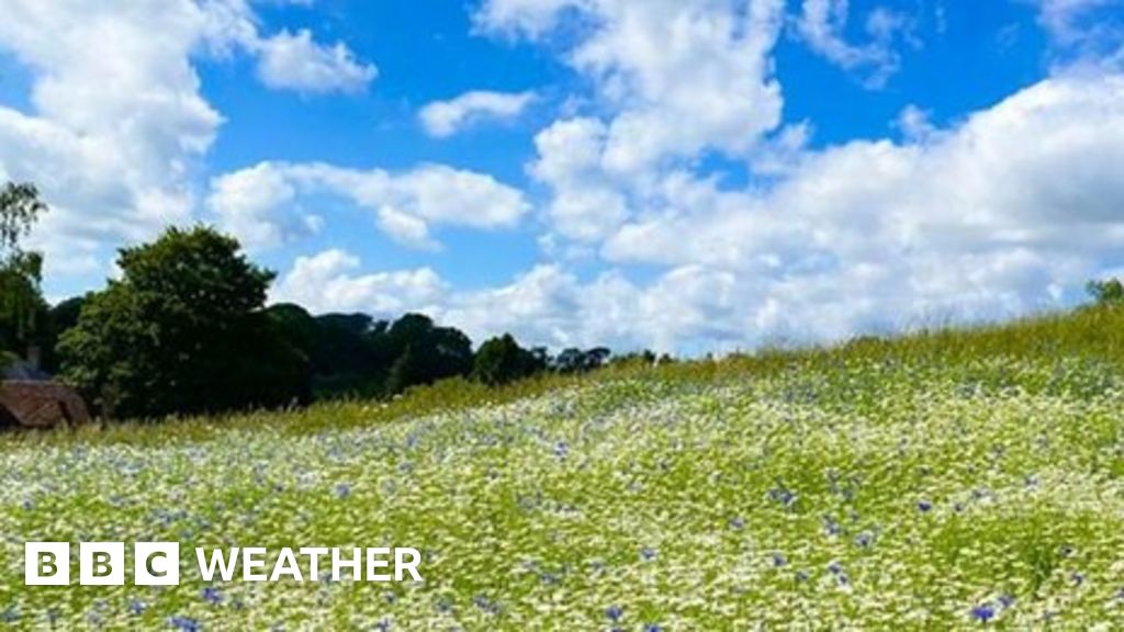 Weather For The Week Ahead - BBC Weather