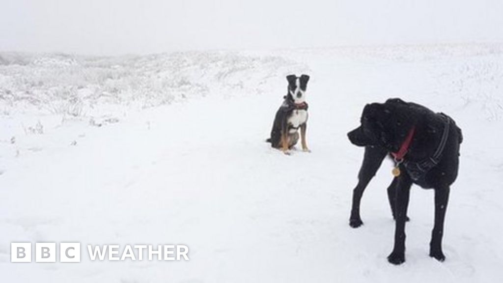 Wintry Scenes Around The UK - BBC Weather