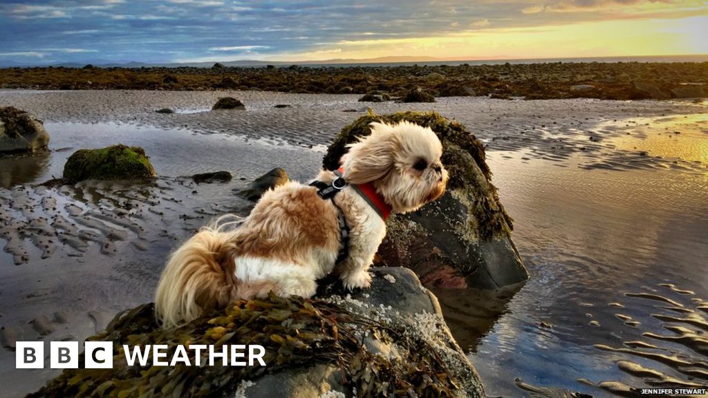 Your September weather photos BBC Weather