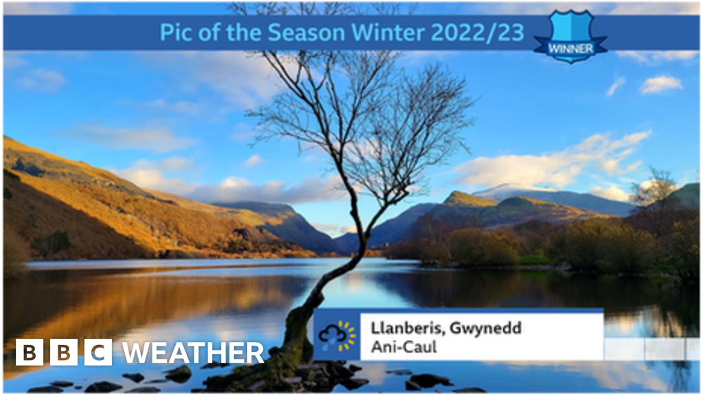 ‘The Lonely Tree’ wins Pic of the Season BBC Weather