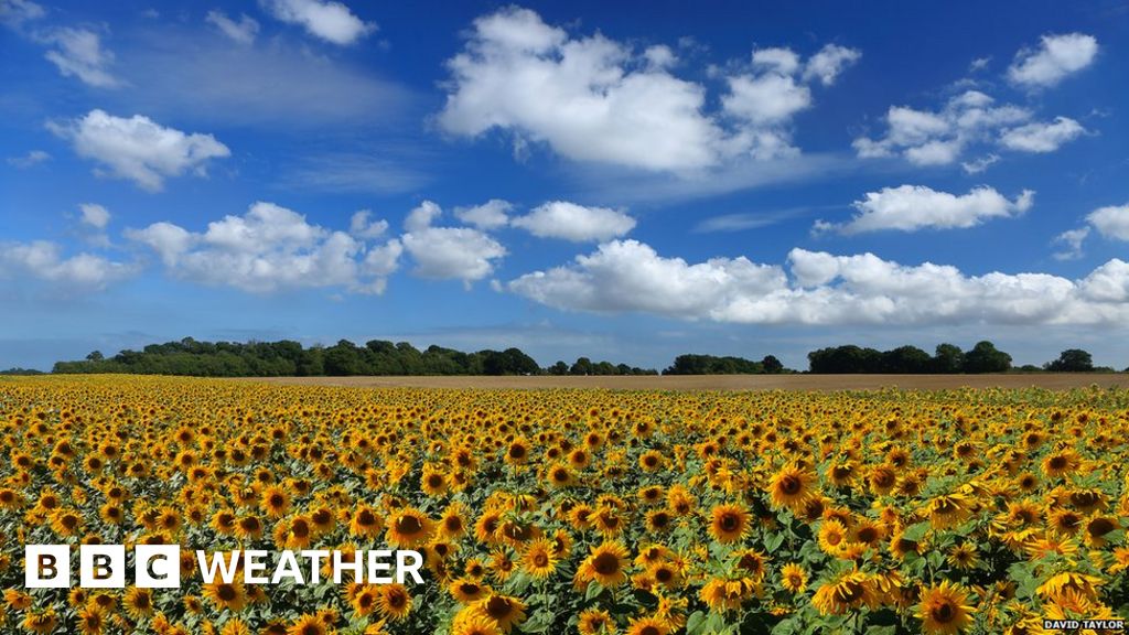 Your September UK photos BBC Weather