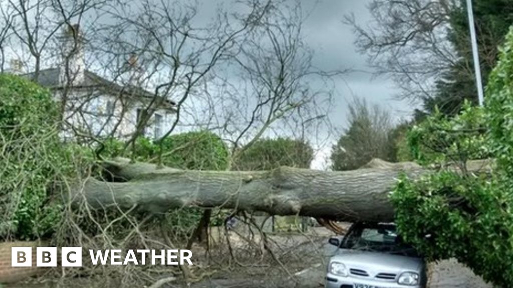 Weather for the week ahead BBC Weather