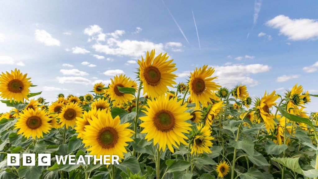 weather-for-the-week-ahead-bbc-weather