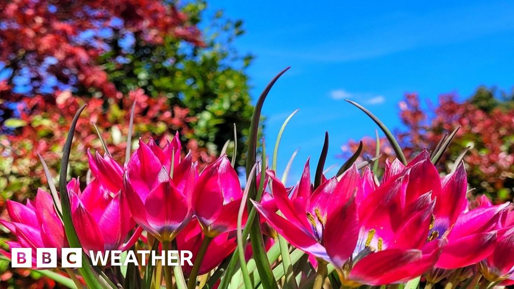 Weather for the Week Ahead - BBC Weather