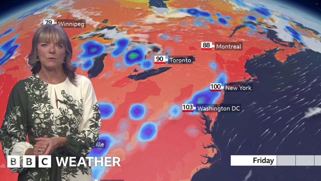 North America forecast