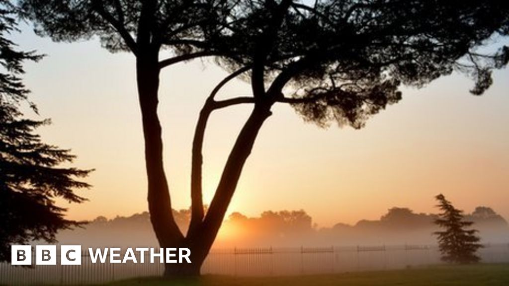 How does fog form? BBC Weather