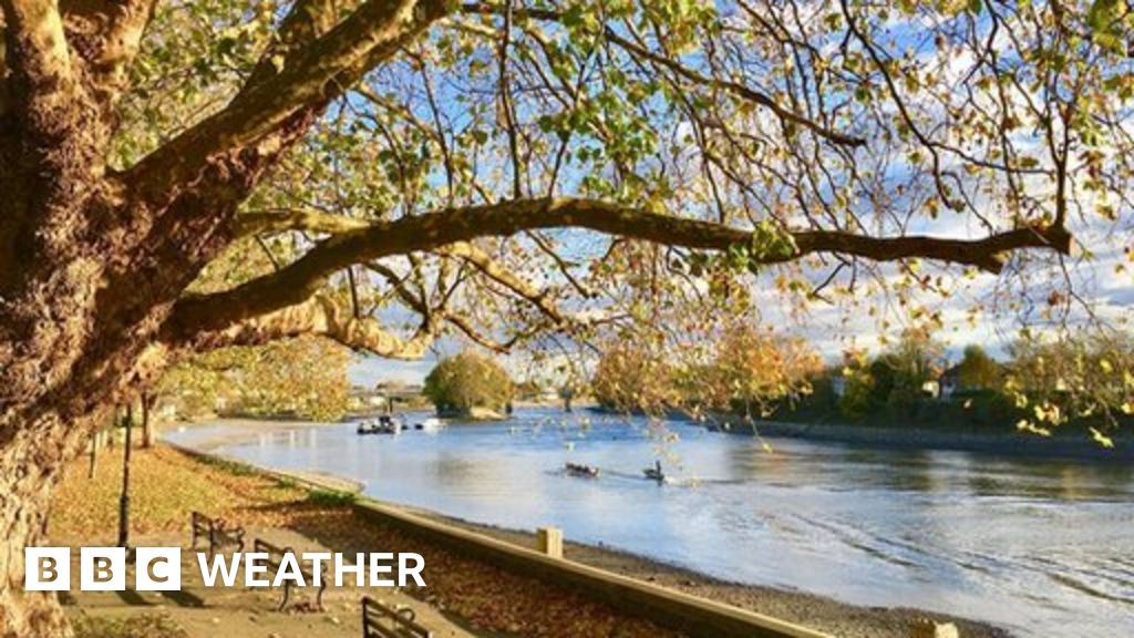 Your week watching the weather BBC Weather