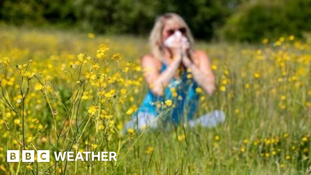 What are the different pollen types by month? - BBC Weather