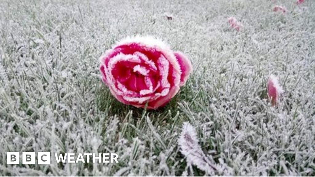 Fascinating facts about frost - BBC Weather
