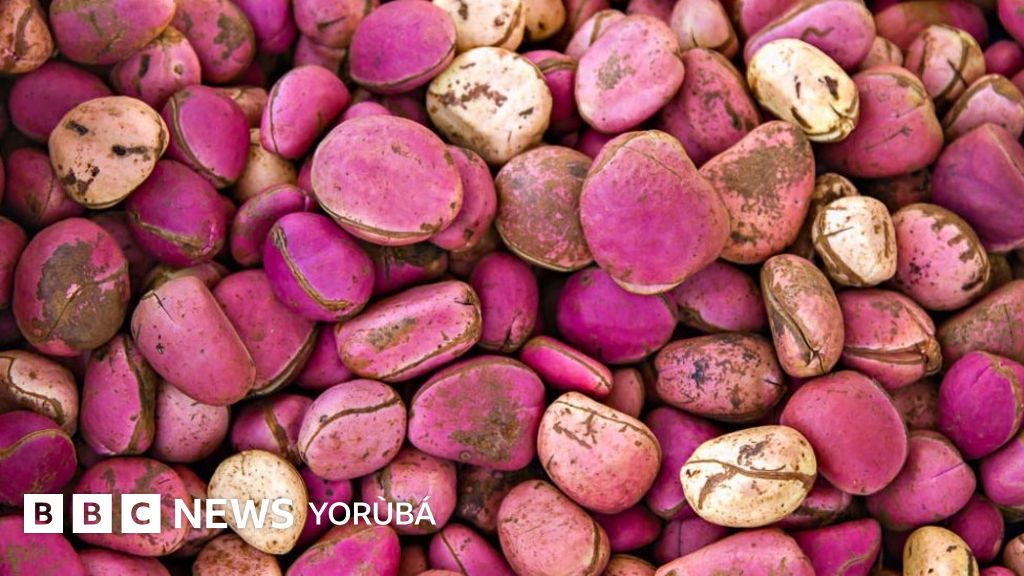 Ǹjẹ́ o mọ̀ pé ẹgbẹ̀run kan náírà ni obì ní Brazil? BBC News Yorùbá