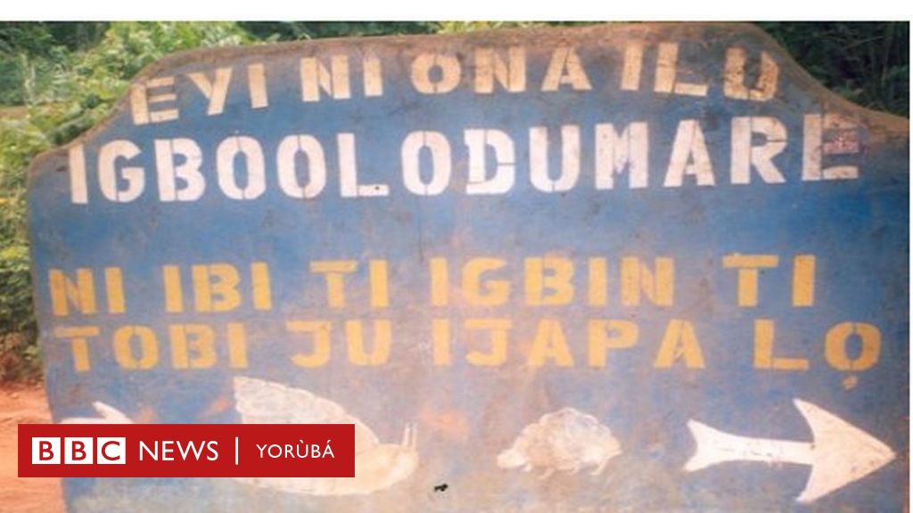 Igbo olodumare: ohun gbogbo tó wà nínú ìwé fagunwa ló wà nínú igbó náà - bbc news yorùbá