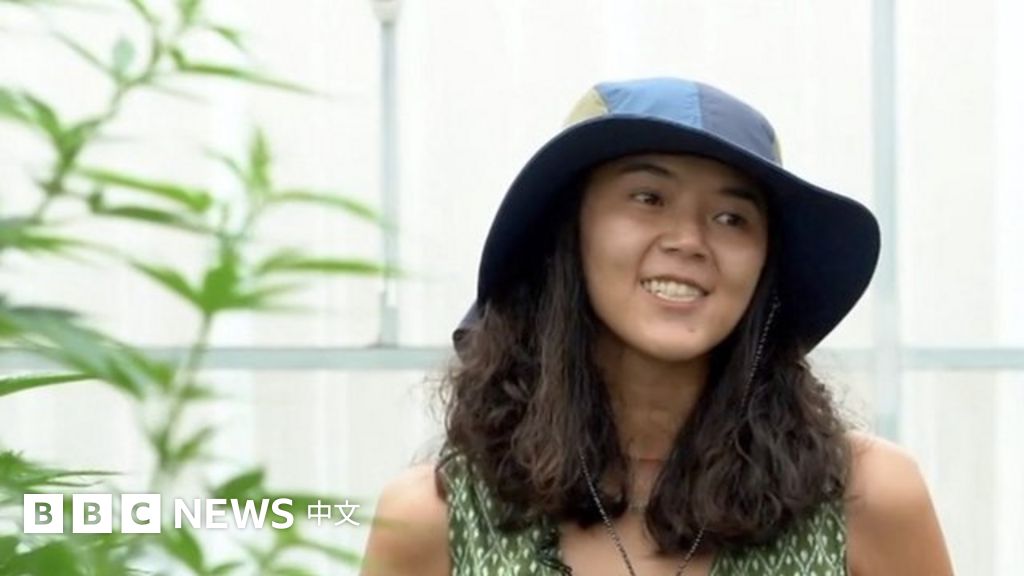 泰国宣布大麻合法化 民众有何反应？