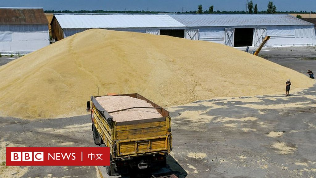 Русско-украинская война: экспортирует ли Россия продукты из Украины?  — Китайские новости Би-би-си