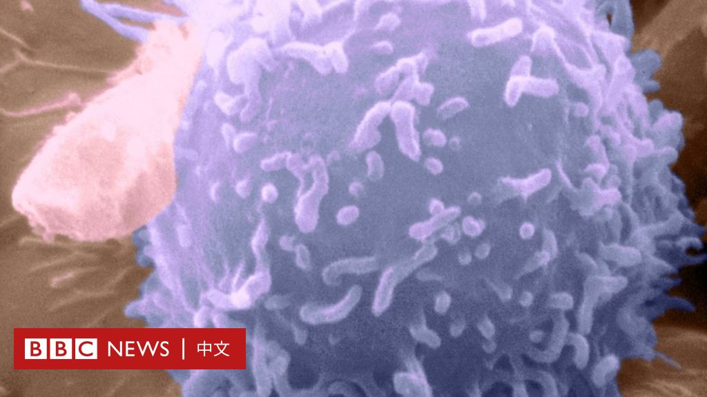 记忆B细胞：能给你超级免疫力的细胞