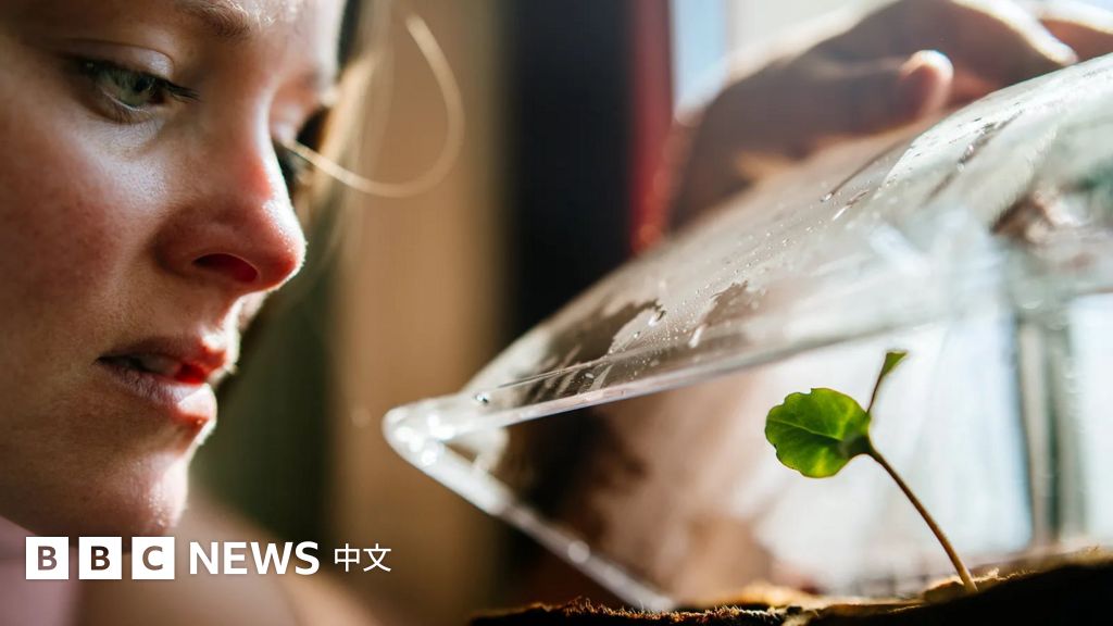 植物会说话?让科学界半信半疑的争议与谜团