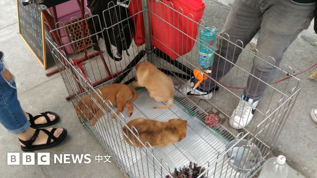 台湾来鸿 令人震惊的连续毒杀事件 c News 中文