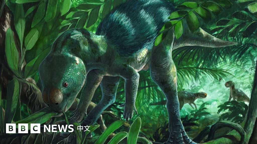 科学家发现鸡一般大小的“袖珍”恐龙