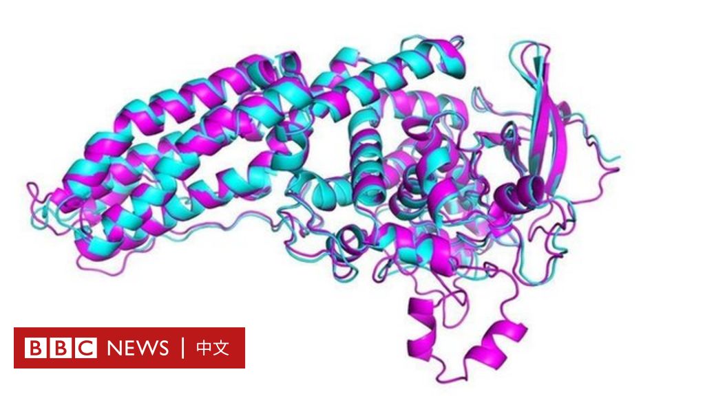 蛋白質 人工智能破解生物學最大謎團之一的意義所在 c News 中文